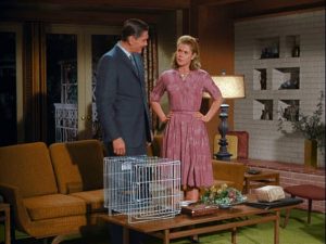 Darrin-and-Samantha-in-the-living-room-on-Bewitched