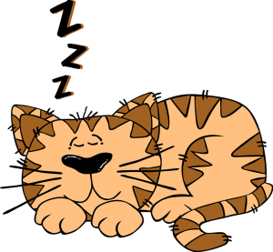 10660-illustration-of-a-cartoon-cat-sleeping-isolated-on-a-white-background-pv